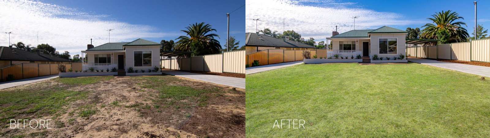 8d99f4_cde1bbe4c9a44788ad2242428a686199~mv2